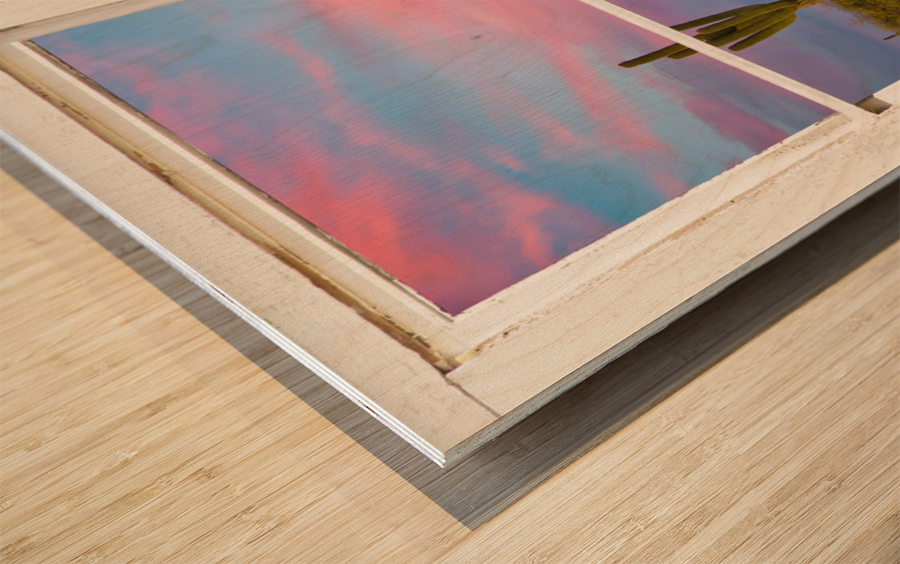 Colorful Southwest Desert Window View Wood print