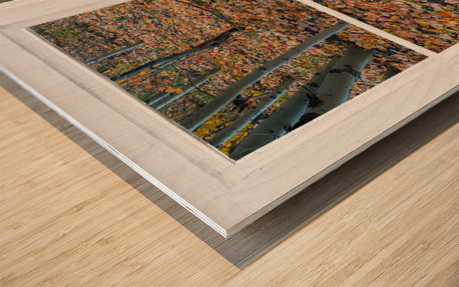 Mother Nature Whitewash Picture Window View Wood print