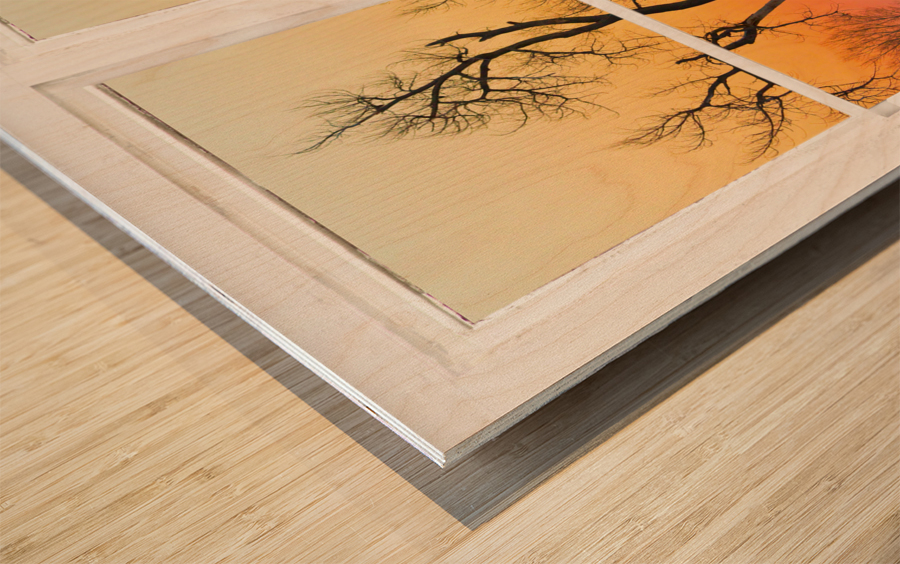 Winter Season Country Sunet White Window View Wood print