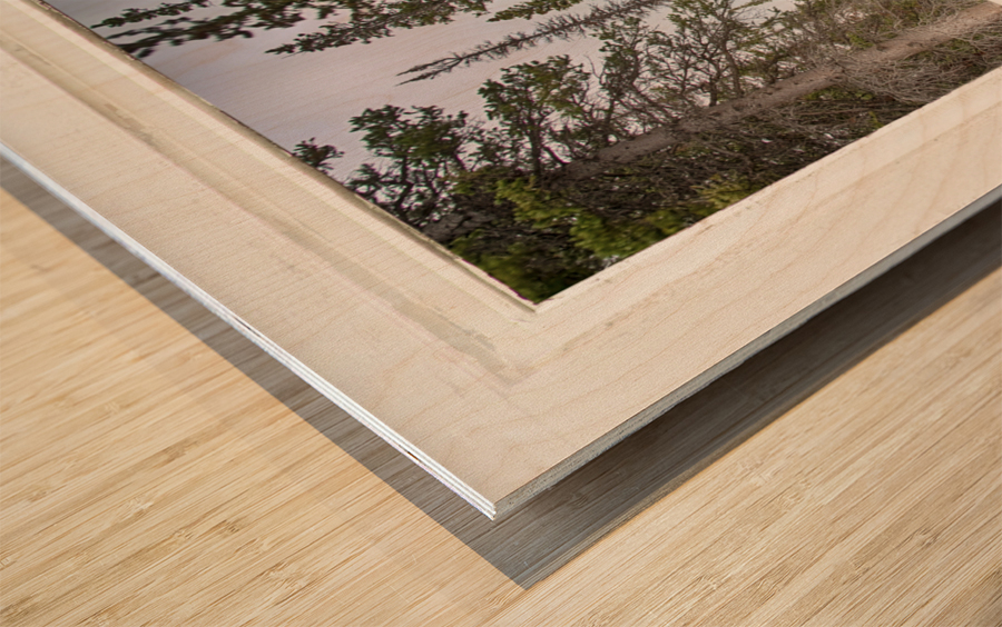 Rocky Mountain Stream White Rustic Window Impression sur bois