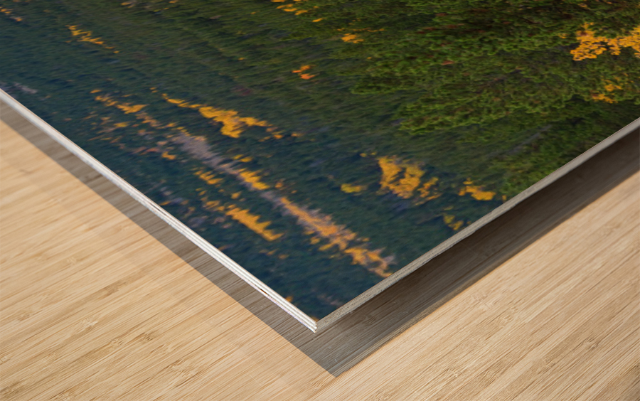 Colorado Autumn Panorama colorful Wood print