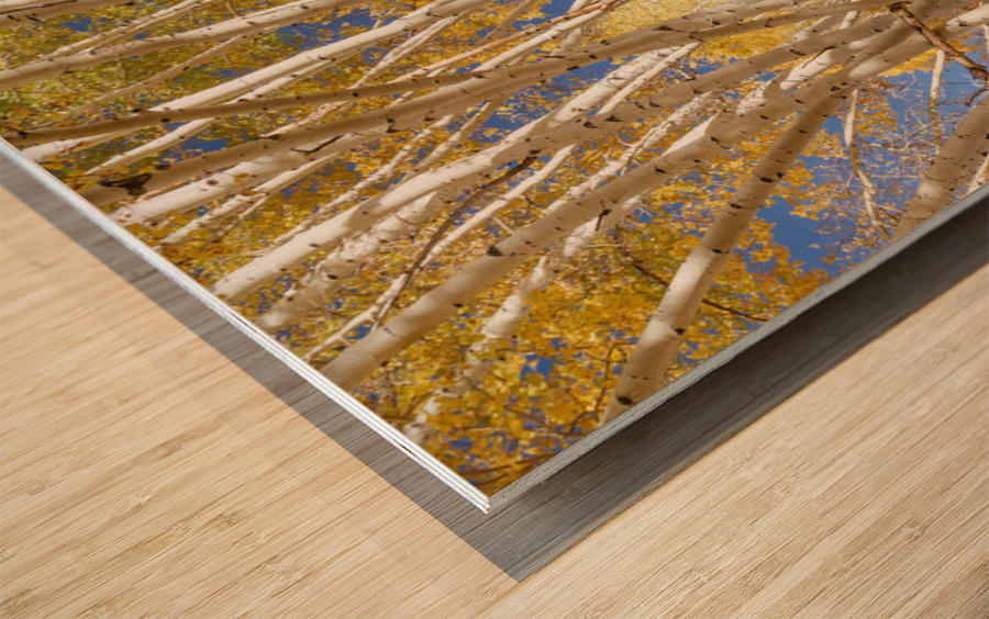 Golden Forest Fantasy Impression sur bois