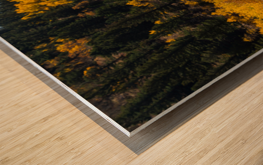 Ward Colorado Panoramic Autumn View Impression sur bois