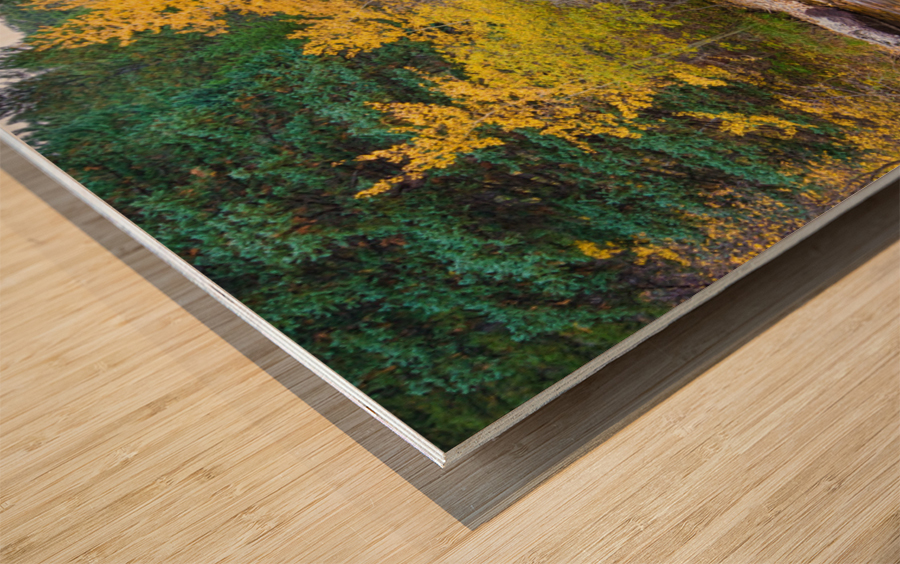 Colorado Autumn Creek Happy Place Panoramic Wood print