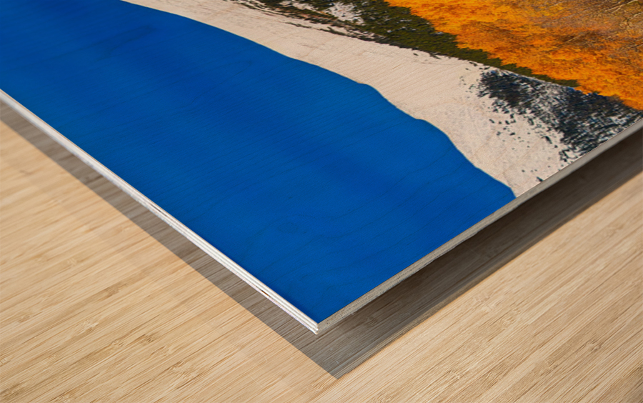 Colorado Rocky Mountain Independence Pass  Wood print