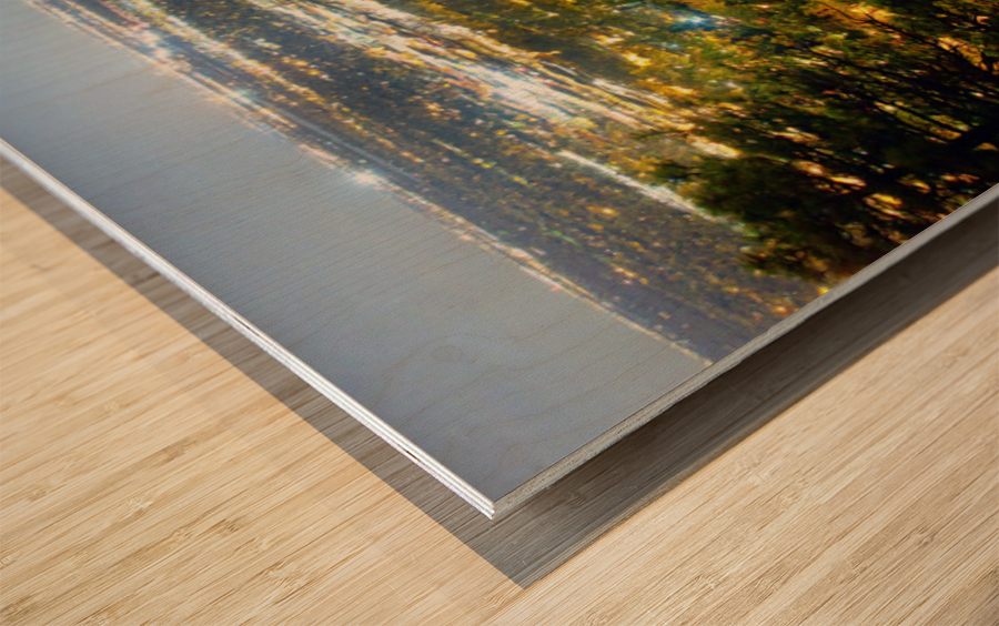 Boulder Colorado City Lights Panorama Impression sur bois