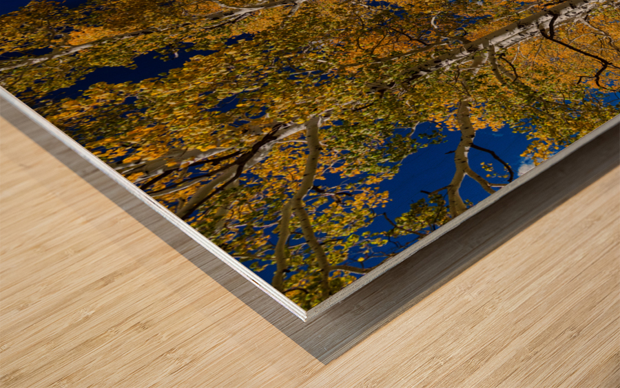 Autumn Blue Skies Wood print