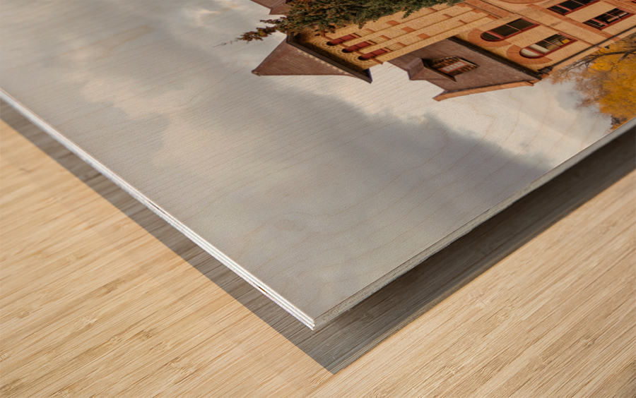 Beautiful Small Town Rico Colorado Impression sur bois