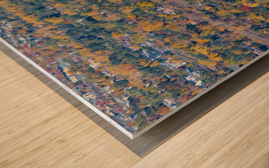 Fall Foliage Boulder Colorado Wood print