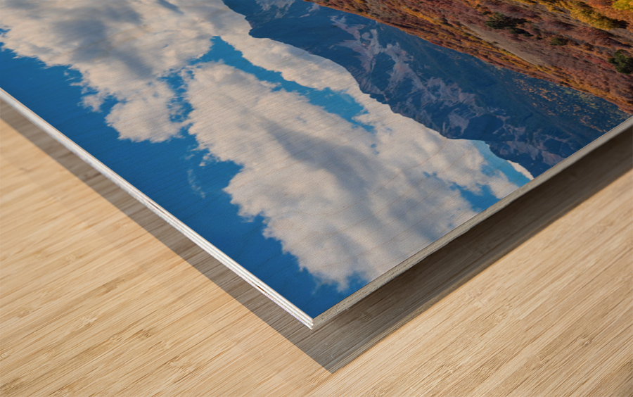 Colorado Color Lollapalooza Wood print