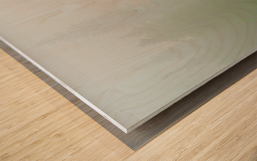 Deep in the Fog Impression sur bois