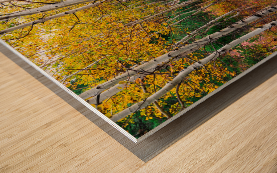 Happy Place In Woods Wood print