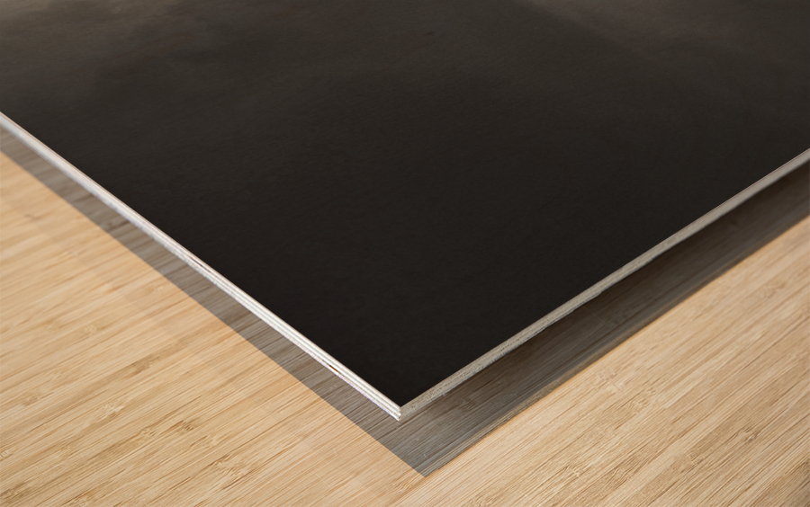 Pinnacle Peak Arizona Lightning Strike BW Wood print