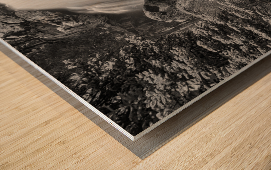 Colorado Ouzel Falls Black White Wood print