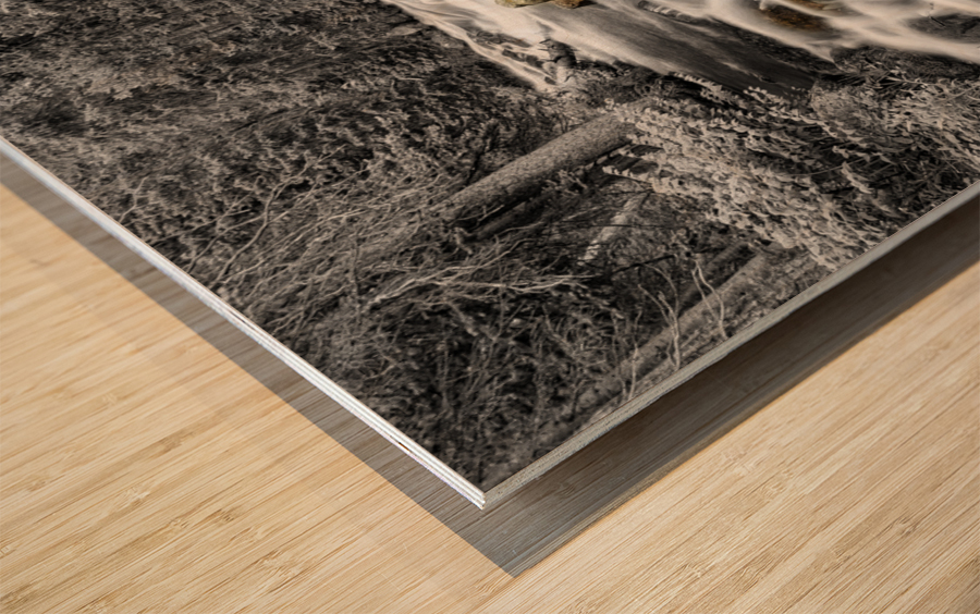 Roosevelt National Forest Stream BW Selective Wood print