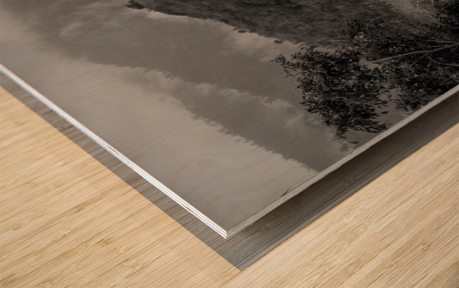 Golden Hand Sirao Wood print