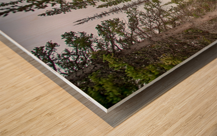 Colorado Rocky Mountain Flowing Stream Wood print