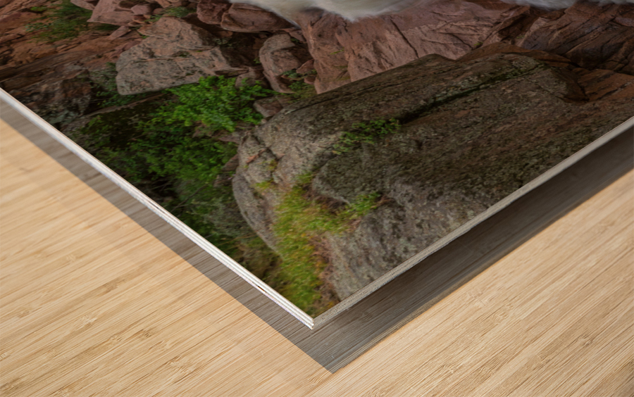 Double Waterfall Splashdown Impression sur bois