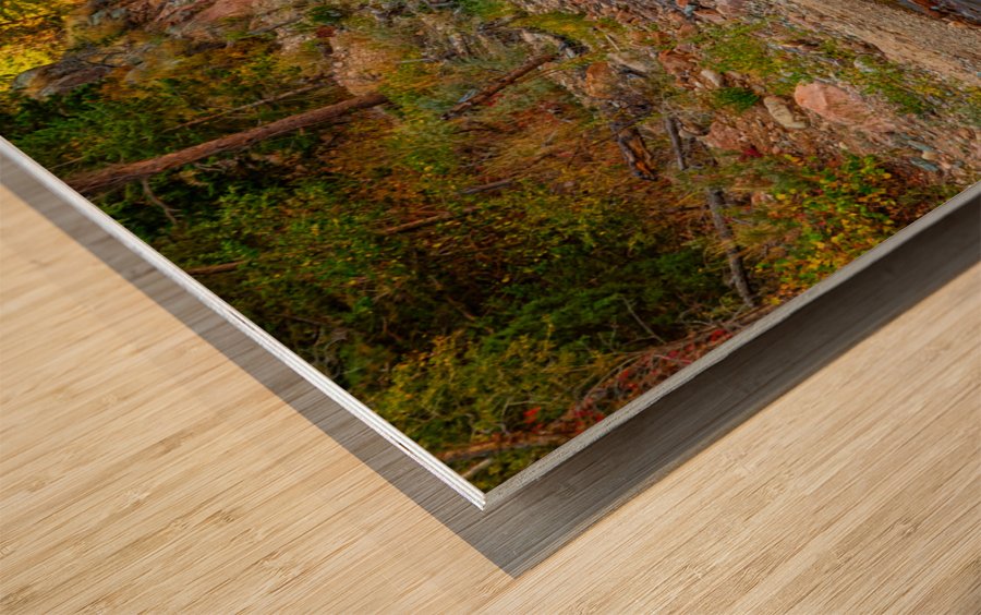 Golden Fishing Stream Wood print