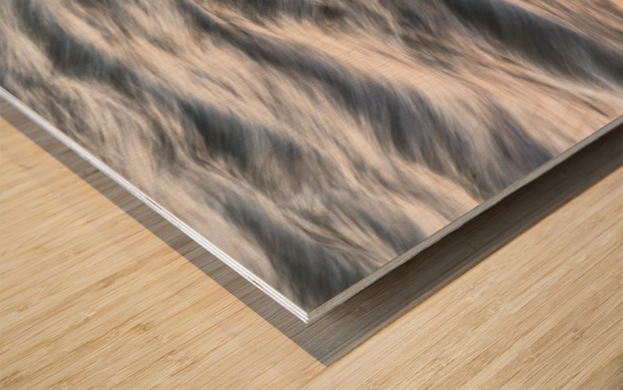 South Boulder Creek Sunset Blurred Lines Impression sur bois