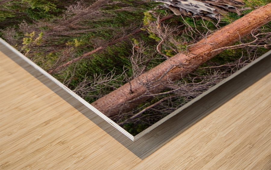 Rocky Mountains Stream Scenic Landscape Wood print