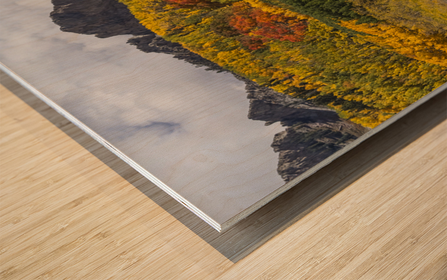 Colorado Kebler Pass Fall Foliage Wood print