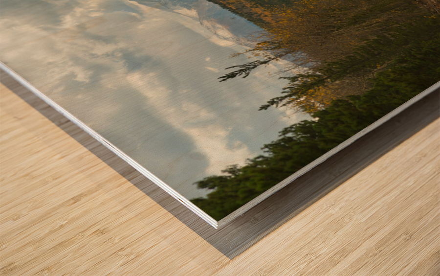 Dirt Road Paradise Cruising Wood print