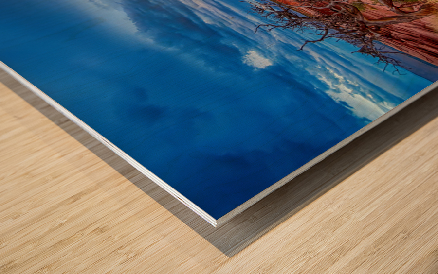 Colorado National Monument Evening Storms Wood print