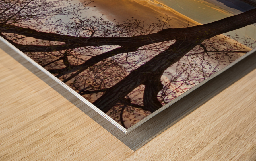 Twin Peaks Golden Spring Sunset Wood print