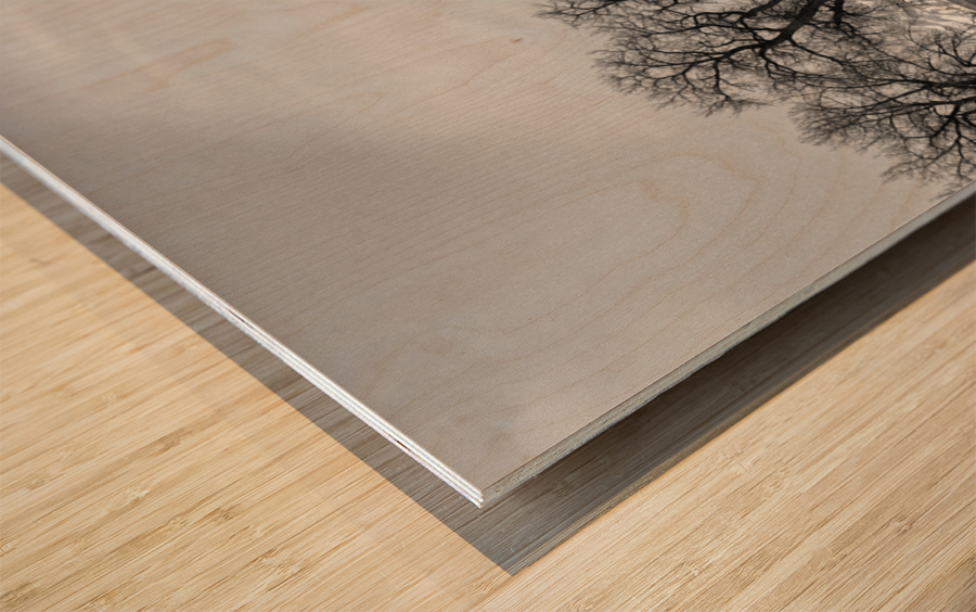 Twin Peaks Between The Trees BW Panorama Impression sur bois