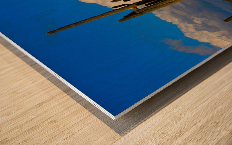  Amazing Giant Saguaro Cactus Wood print