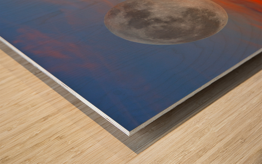 Full Moon Big Saguaro Sunset Wood print