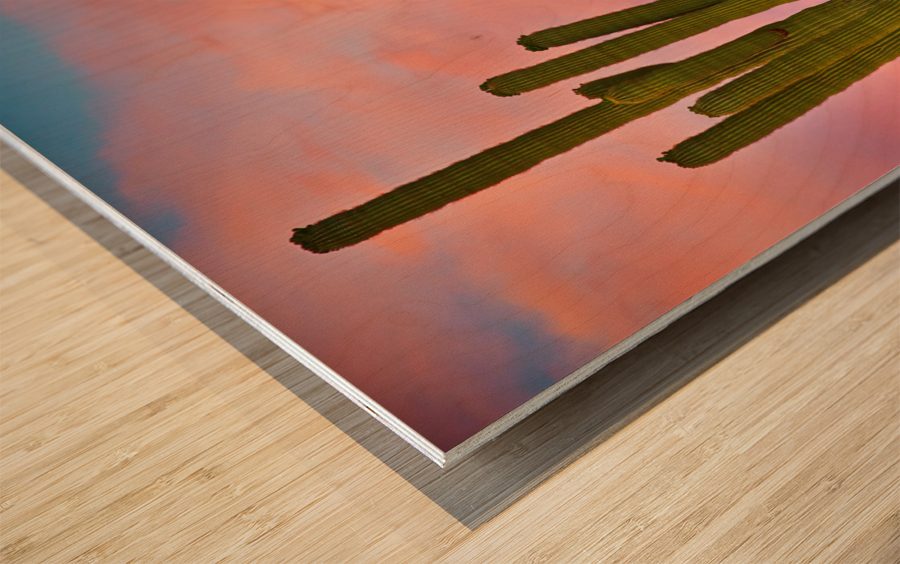 Desert Spring Wood print