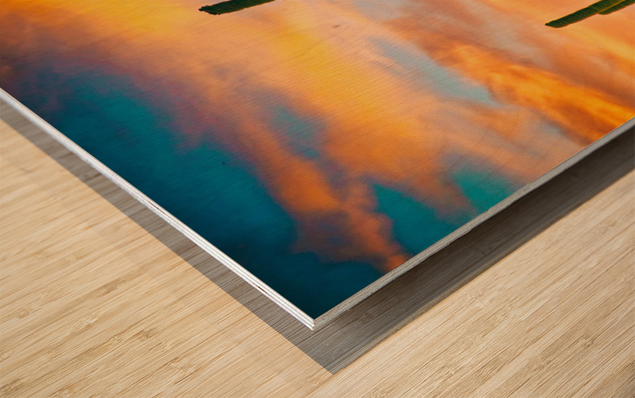 Arizona Life Wood print