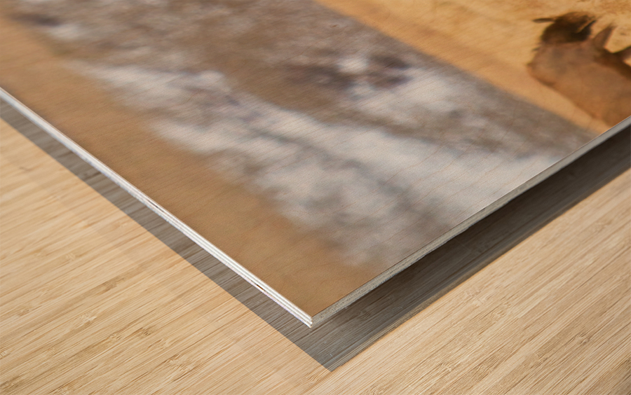 Elk Heard Colorado Foothills Plains Panorama Impression sur bois