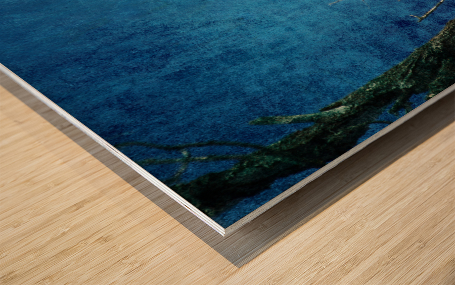 Bald Eagle Blues Into Night Wood print