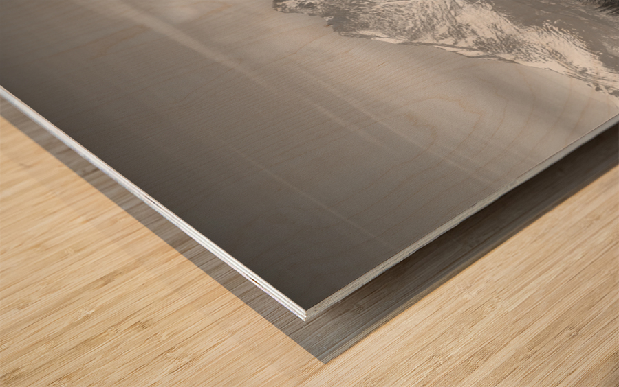 St Vrain Ponds Longs Peak View In Black and White Wood print