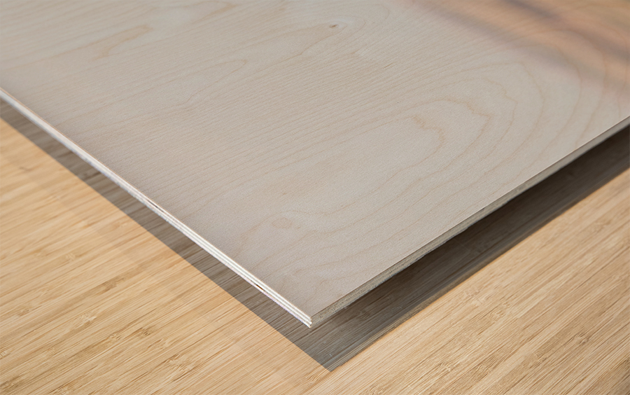 Badlands Bighorn A Glimpse of Audubons Majestic Sheep Wood print