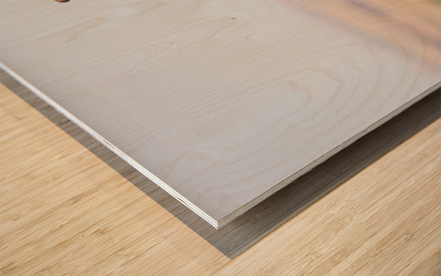 Big Horn Sheep Lucky Number 13 Impression sur bois