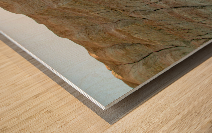 Textural Marvels Exploring the Landscape of South Dakota Wood print