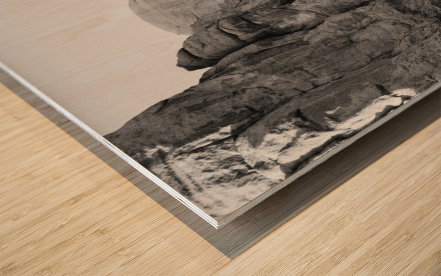 Silent Majesty George Washingtons Profile at Mount Rushmore Wood print