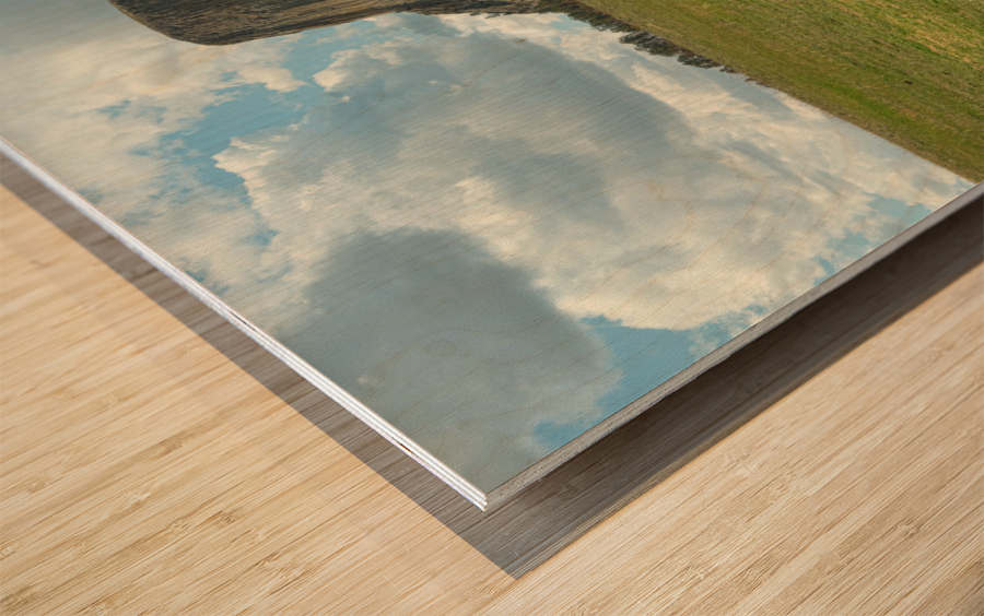 Longhorn Cow Posing at Devils Tower in Wyoming - First US Nation Impression sur bois