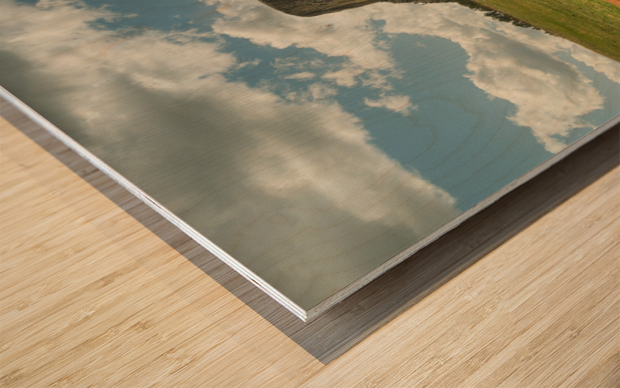 Texas Longhorn Cows Gracefully Posing at Majestic Devils Tower Impression sur bois