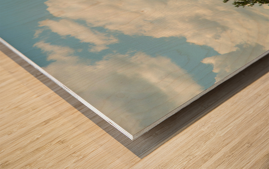 Majestic Devils Tower in Wyoming Amidst Pine Forest Wood print