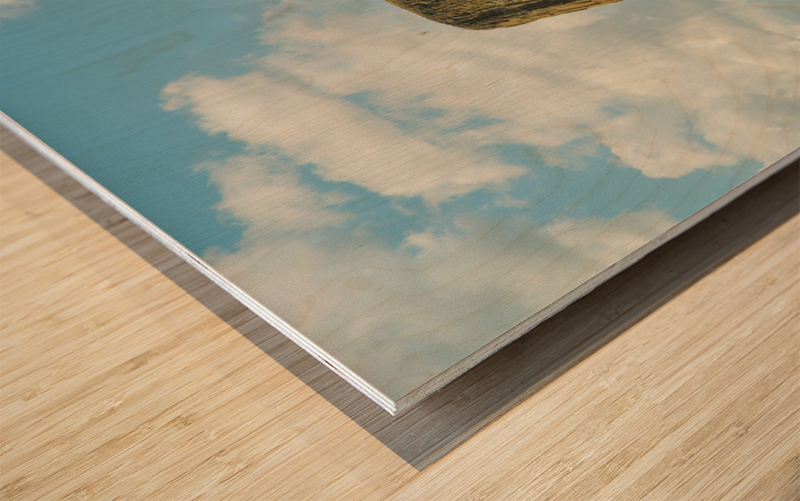 Majestic Devils Tower in Wyoming Surrounded by Pine Forest Wood print