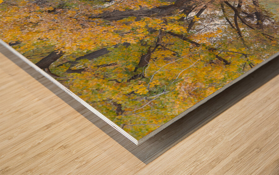 Autumns Bounty - A Country Road Market Impression sur bois