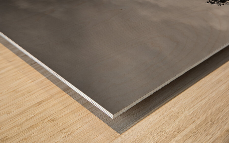 Boulder Colorado Flatirons April Snow In Black and White Wood print