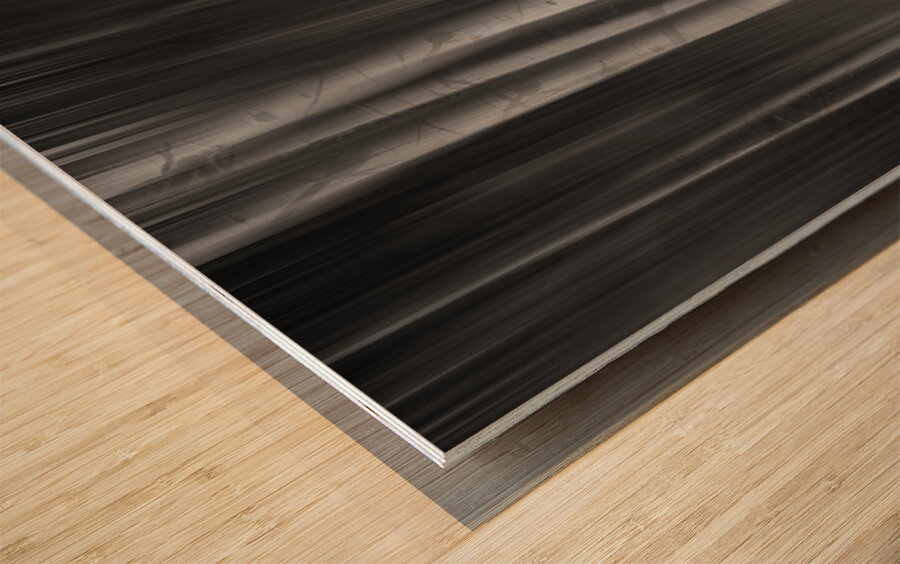 Aspen Trees Dreaming Black and White Abstract Wood print