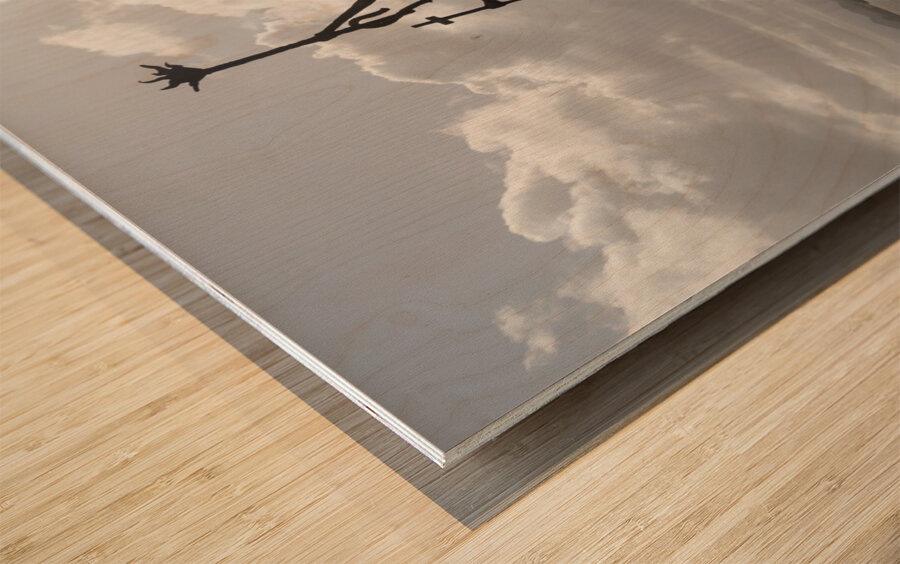 Legend of La Rogativa Wood print