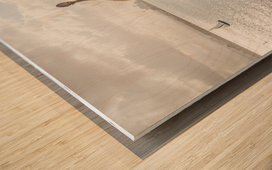 A Picturesque Scene in San Juan Puerto Rico Wood print